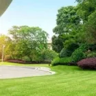 Entreprises 5 image EPSTEIN PROPERTY CARE Landscaping & Gardening Services dans Toronto ON