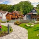 Entreprises 6 image EPSTEIN PROPERTY CARE Landscaping & Gardening Services dans Toronto ON