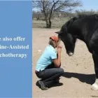 Business 1 image EQUINOX THERAPEUTIC AND CONSULTING SERVICES Psychologists in Edmonton AB