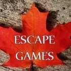 Entreprises 4 image ESCAPE GAMES CANADA Entertainment Centres dans North York ON