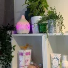 Entreprises 9 image ESTHÉTIQUE BIO-ÉNERGÉTIQUE Beauty Salons & Consultants dans Saint-hubert QC