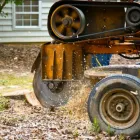 Entreprises 5 image ETOBICOKE TREE SERVICE dans Etobicoke ON