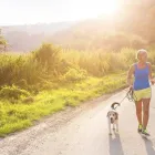 Entreprises 8 image EUROPEAN MASSAGE & PHYSIOTHERAPY CENTER Physiotherapists dans Mississauga ON