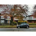 Business 5 image EVO CAR SHARE travel & tourism in Vancouver BC