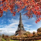 Business 10 image EXPEDIA CRUISESHIPCENTERS BARRIE Travel Agents in Barrie ON