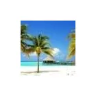 Business 17 image EXPEDIA CRUISESHIPCENTERS BARRIE Travel Agents in Barrie ON