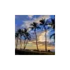 Business 20 image EXPEDIA CRUISESHIPCENTERS BARRIE Travel Agents in Barrie ON