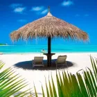 Business 21 image EXPEDIA CRUISESHIPCENTERS BARRIE Travel Agents in Barrie ON