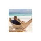 Business 27 image EXPEDIA CRUISESHIPCENTERS BARRIE Travel Agents in Barrie ON