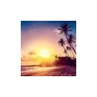 Business 28 image EXPEDIA CRUISESHIPCENTERS BARRIE Travel Agents in Barrie ON