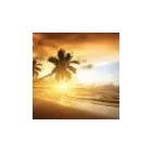 Business 37 image EXPEDIA CRUISESHIPCENTERS BARRIE Travel Agents in Barrie ON