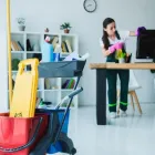 Entreprises 2 image EXTREME CLEAN HOUSEKEEPING, HOARDING & HOME CLEANING SERVICES TORONTO Cleaning Services dans York ON