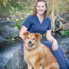 Business 4 image FAIRFIELD ANIMAL HOSPITAL LTD Veterinarians in Kelowna BC