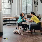 Business 3 image FIDO Telecommunications Companies & Equipment in Toronto ON