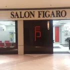 Entreprises 1 image FIGARO COIFFURE ELLE ET LUI Hair Salons dans Québec QC