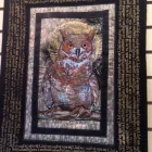 Business 11 image FINDLAY'S VACUUM & SEWING MACHINES Shopping in Kelowna BC