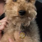 Entreprises 4 image FINNIGAN PATRICK J S DR INC Health & Medicine dans Victoria BC