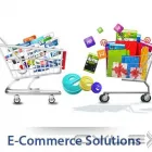 Business 6 image FIRE STARTUP-WORDPRESS WEB DESIGN COMPANY Web Design & Development in Windsor ON
