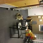 Business 1 image FIREFLY COUNSELLING & CONSULTING Psychologists in Edmonton AB