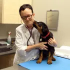 Entreprises 3 image FISHER GLEN ANIMAL HOSPITAL Veterinarians dans Nepean ON