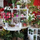 Business 2 image FLEURISTE À CHACUN SA FLEUR Shopping in Sherbrooke QC