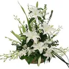 Business 5 image FLEURISTE LOUVAIN Shopping in Laval QC