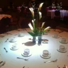 Entreprises 4 image FLEURS-O-MAX INC Shopping dans Pointe-aux-trembles QC