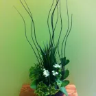Entreprises 1 image FLEURS-O-MAX INC Shopping dans Pointe-aux-trembles QC