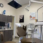 Business 1 image FLOSS & SMILE DENTAL PRACTICE Health & Medicine in Woodbridge ON