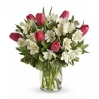 Entreprises 1 image FLOWERS BY KAY Shopping dans Peterborough ON