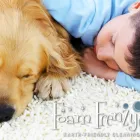 Business 4 image FOAM FRENZY CARPET CLEANING & UPHOLSTERY Cleaning Services in Windsor ON