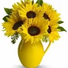 Business 3 image FOREST HILL FLORIST Shopping in Toronto ON