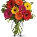 Business 5 image FOREST HILL FLORIST Shopping in Toronto ON