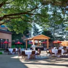 Entreprises 17 image FOUR POINTS BY SHERATON TORONTO AIRPORT travel & tourism dans Mississauga ON