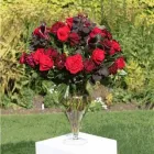 Entreprises 1 image FOXGLOVES FLOWERS Shopping dans Victoria BC