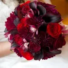 Entreprises 3 image FOXGLOVES FLOWERS Shopping dans Victoria BC