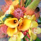 Entreprises 4 image FOXGLOVES FLOWERS Shopping dans Victoria BC