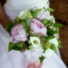 Entreprises 5 image FOXGLOVES FLOWERS Shopping dans Victoria BC