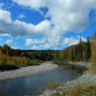 Business 9 image FRASER RIVER STURGEON FISHING Sports & Recreation in Surrey BC