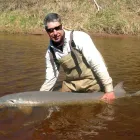Business 18 image FRASER RIVER STURGEON FISHING Sports & Recreation in Surrey BC