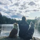 Entreprises 4 image FRÉDÉRIQUE TÉTRO - ÉDUCATRICE CANINE Pet Training dans Sherbrooke QC