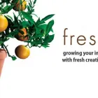 Entreprises 6 image FRESH TRAFFIC Marketing Consultants & Services dans Winnipeg MB