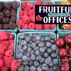 Entreprises 1 image FRUITFULL OFFICES Shopping dans Vancouver BC