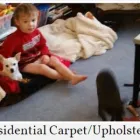 Entreprises 2 image FUTURE-NOW CARPET LTD Carpet, Curtain & Upholstery Cleaners dans Calgary AB