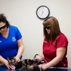 Business 4 image GANDER VETERINARY CLINIC Veterinarians in Gander NL