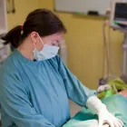 Business 10 image GANDER VETERINARY CLINIC Veterinarians in Gander NL