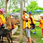 Business 9 image GARDERIE GANOR Day Centres in Saint-Laurent QC