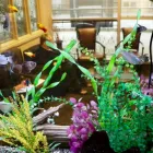 Business 10 image GARDNER DENTAL GROUP Health & Medicine in Burlington ON