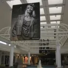Business 17 image GENERAL SIGNS & SERVICE LTD Signs, Banners & Display Systems in Edmonton AB