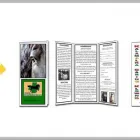 Entreprises 16 image GET COLOUR COPIES Copying & Duplicating Service dans Vernon BC